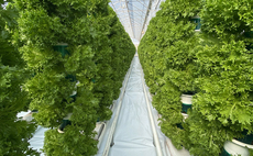 How a high-tech farm is helping the UK take back control of food supply