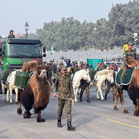 Bactrian camels, Zanskar ponies, raptors and dogs; 77th Republic Day to showcase Indian Army's deep bond with its service animals