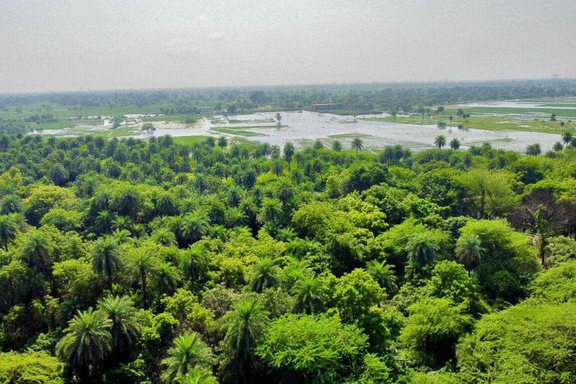 Environment Minister Bhupender Yadav announces addition of Two New Wetlands to Ramsar List, ahead of World Wetlands Day 2026