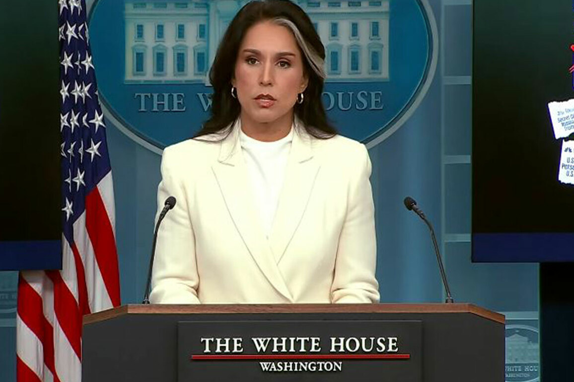 "Irrefutable evidence": Tulsi Gabbard says Obama directed false intel assessment to delegitimize Trump