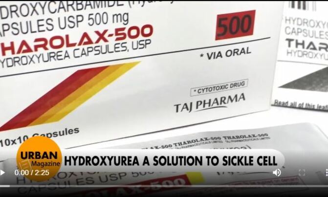 VIDEO: Govt okays Hydroxyurea for sickle cell treatment VIDEO: Govt okays Hydroxyurea for sickle cell treatment