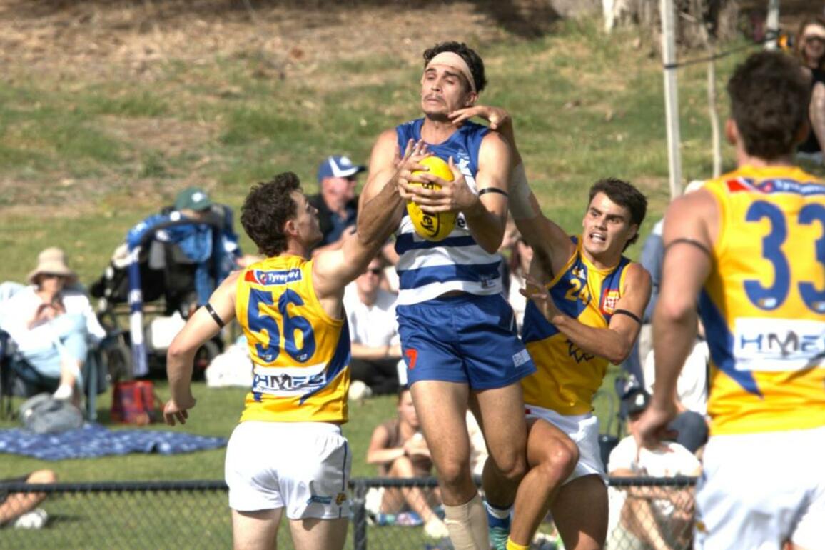WAFL 2025- East Fremantle celebrate return to Shark Park with emphatic win over West Coast Eagels