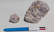 A rock specimen containing lepidolite in pegmatite recoverd by Kalamazoo's field team.