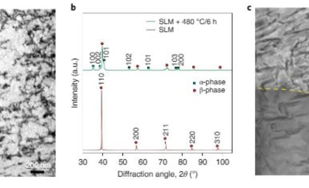 Microstructures of the laser powder bed fusion as-built and post-heat-treated Beta-C titanium alloy.