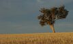 Dry winter predicted for WA farmers