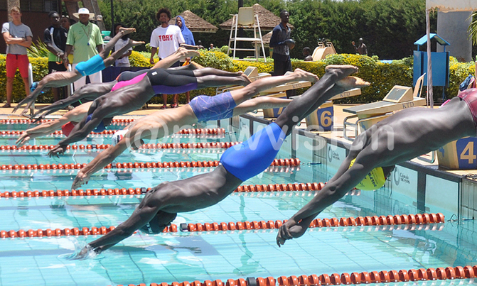 Dolphins win KSF Age Group Swimming Championships Dolphins win KSF Age Group Swimming Championships