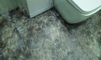 Freefoam Launch New Vinyl Flooring