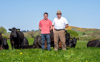 The Northern Irish family achieving premium returns on a low-input, grass-based beef system