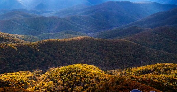 All-female ranger team in China's northernmost national park