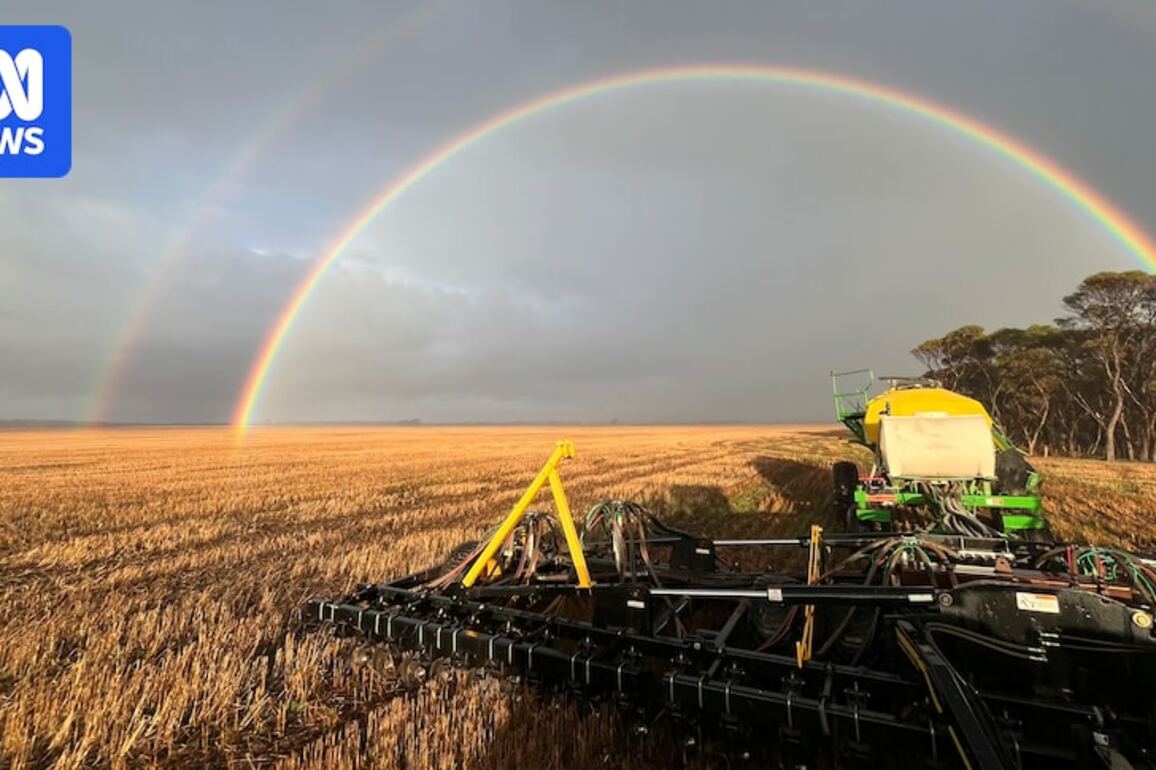 Grain growers in WA's south start seeding early while others look to the skies