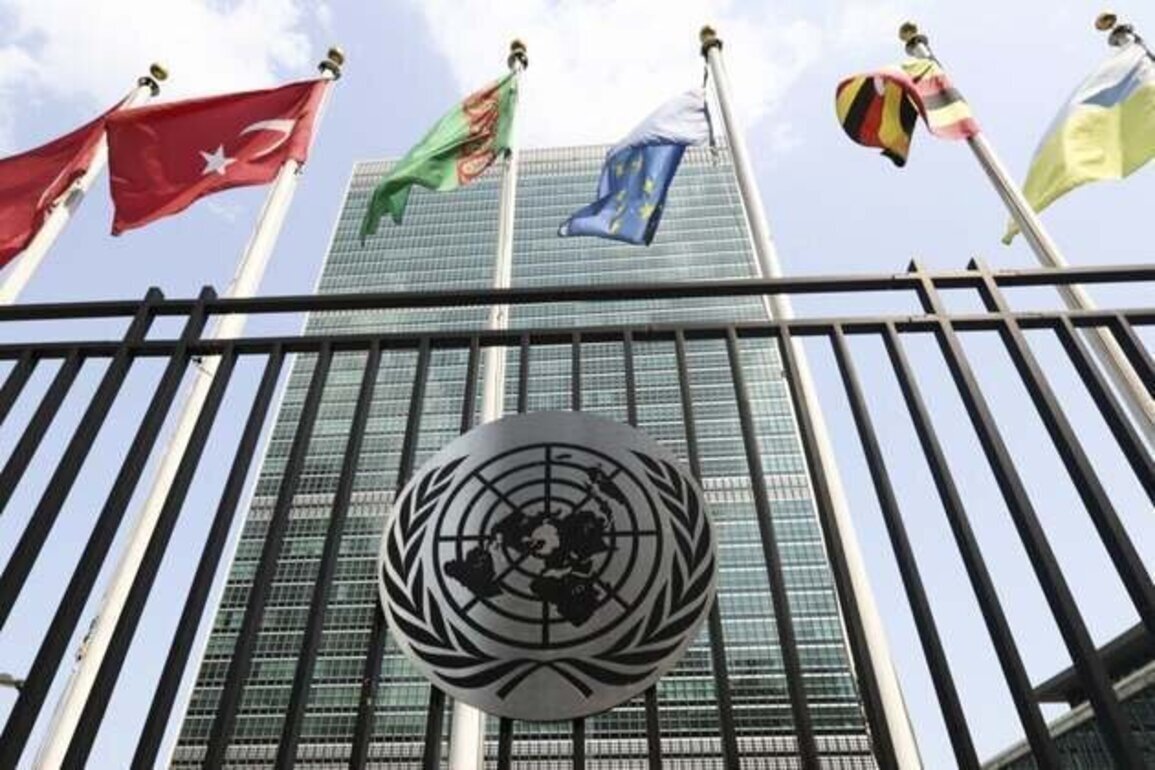 UN Committee Should Promote, Not Oppose, Civil Society