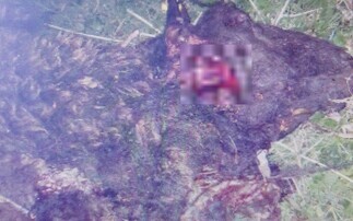 Police investigating death of sheep on day new livestock worrying legislation came into effect