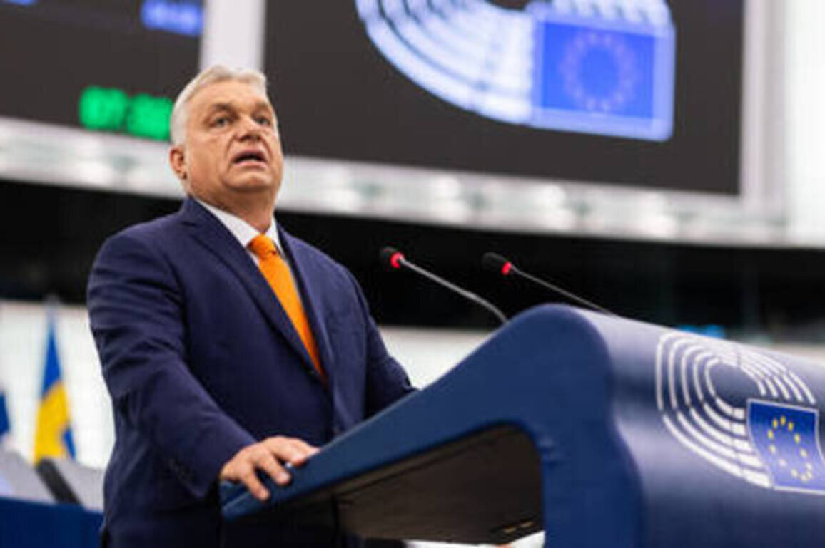 Battle for Hungary: EU attacks on Orban are a sign of worse things to come