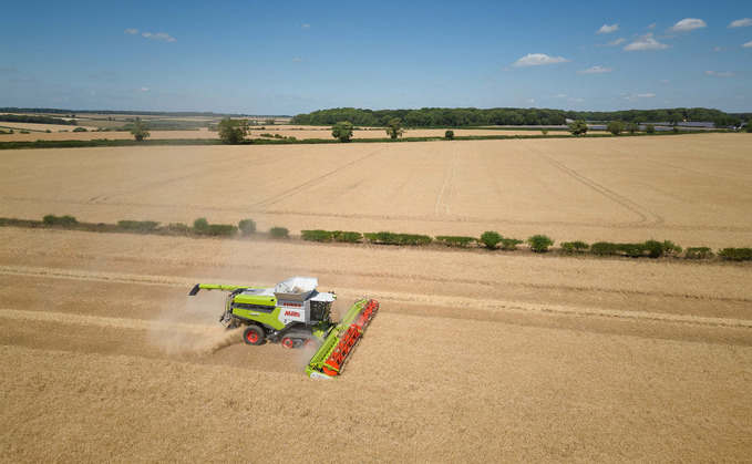 Agronomists reveal mixed cropping potential as harvest approaches