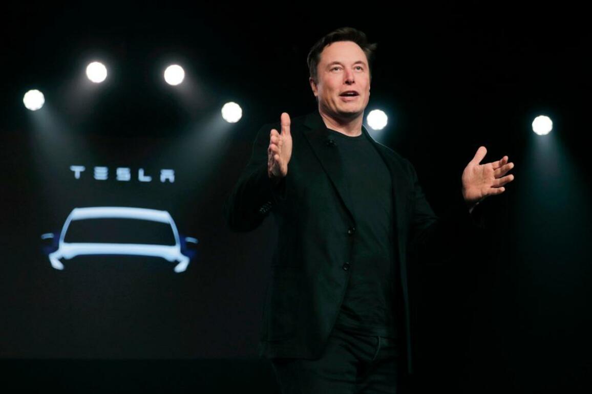 They said it- Tesla flounders amid fury over Elon Musk's government work