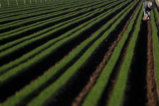 Over two dozen US states ban China from purchasing farmland
