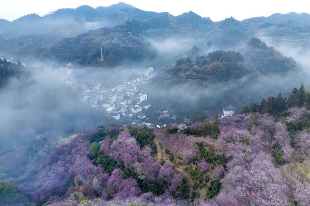 Silver economy boosts cultural, elderly tourism development
