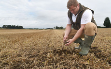 Talking Agronomy with Ben Boothman: Very few of my OSR crops this year have yet to receive an insecticide
