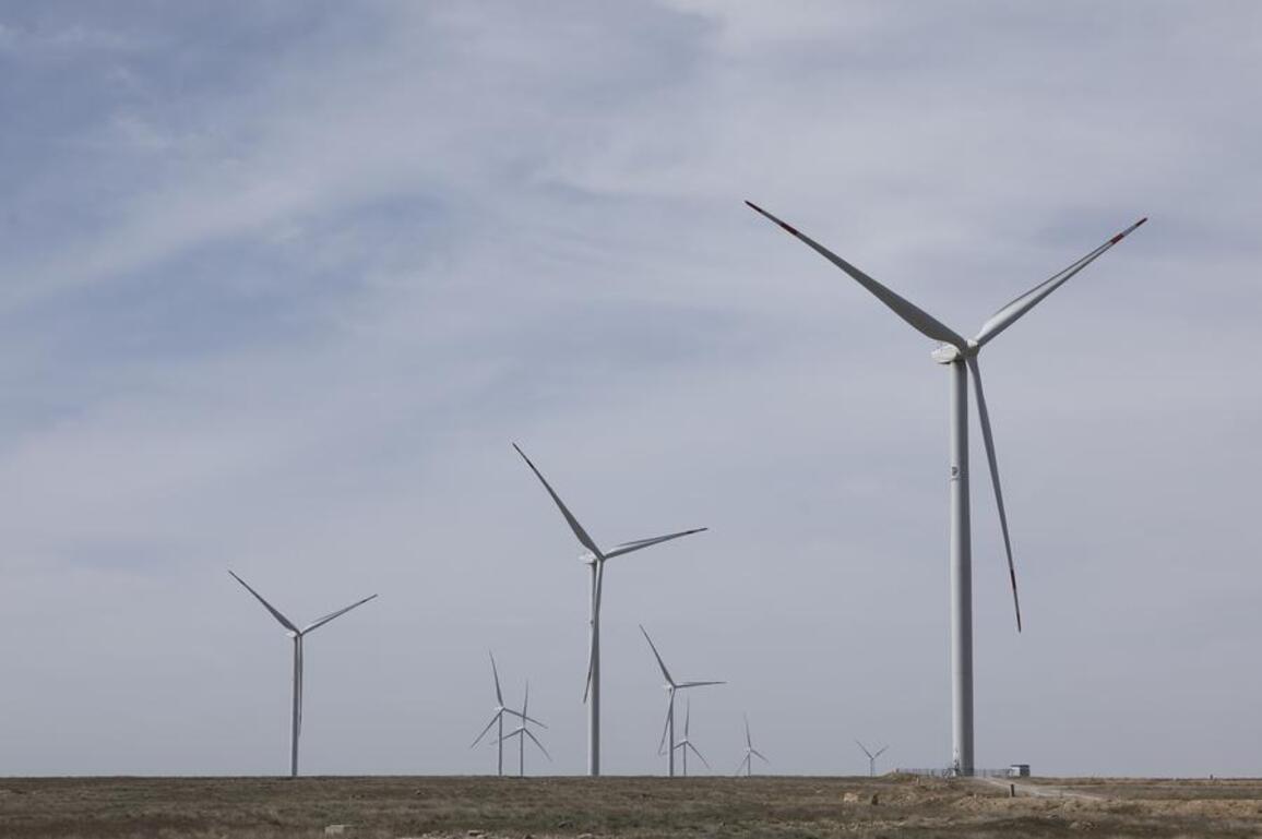 China's green energy technologies boost low-carbon transitions in SCO countries