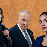 Why isn't there an opposition leader to unite Democrats in the US?