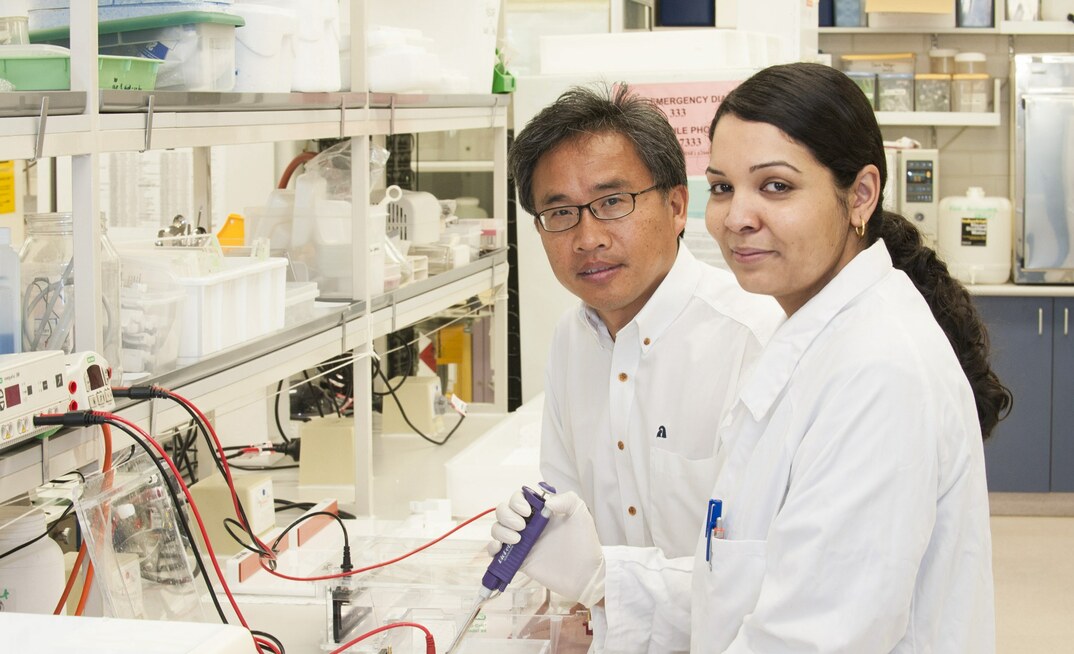 Western Crop Genetics Alliance director, Professor Chengdao Li and DPIRD research scientist Sharon Westcott contributed to an international consortium that recently updated the barley pan genome to help breed new high performance varieties. 