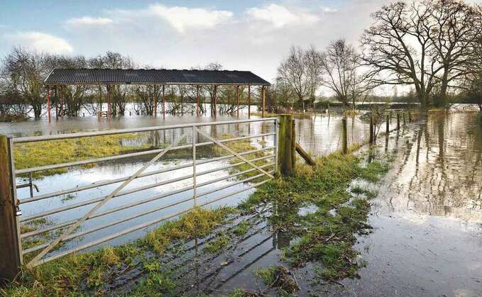 Dairy Farmer - From the Editor: "At times the rainfall was nothing short of biblical"