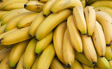 Study: Climate impacts set to make over half of banana growing regions unviable