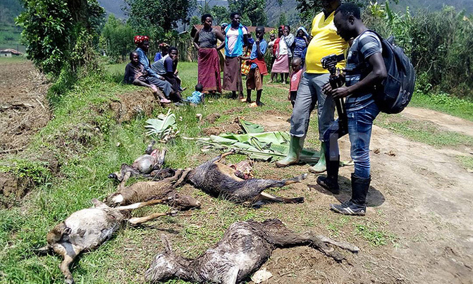Heavy rains ravage Rukiga district, 2 dead in Kisoro Heavy rains ravage Rukiga district, 2 dead in Kisoro