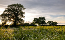 Farmers encouraged to examine Farming with Nature options 