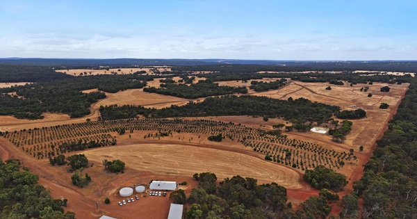 Chalice flags iron ore upside in improved Gonneville flowsheet