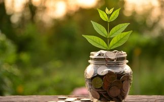 NS&I puts Green Savings Bonds back on sale with improved interest rate