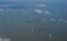 Nature Friendly Wind Farms: Crown Estate to invest £50m in marine protection measures