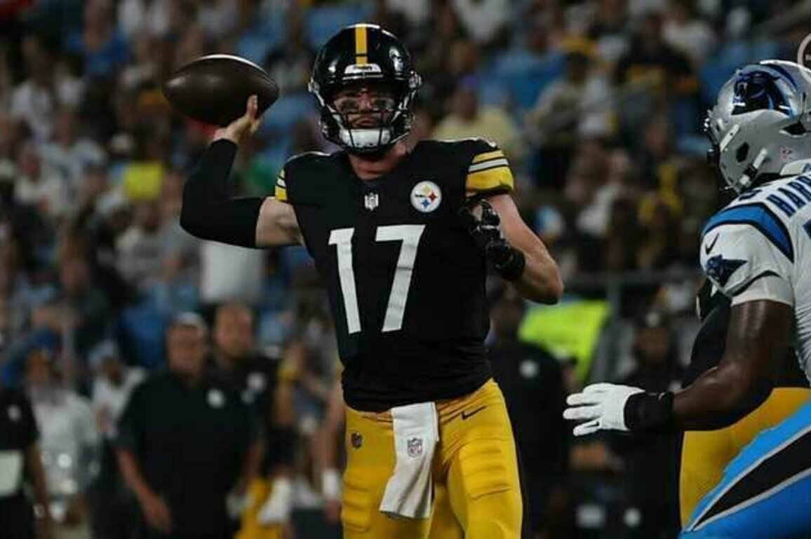 Steelers defeat Panthers, 19-10, in preseason finale