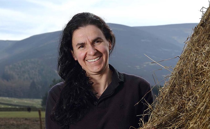In your field: Kate Rowell - 'Gathering is like looking for needles in haystacks'