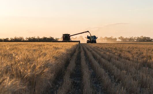Bendigo Bank has estimated this season's national winter crop production at 54.6mt.