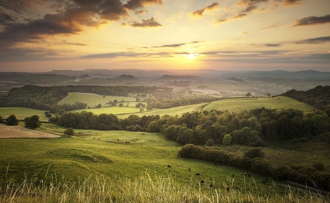 Waitrose is introducing measures to encourage farmers to take a more regenerative approach