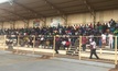 AMCU members have decided to strike at Sibanye-Stillwater's South African gold operations