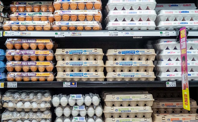 Call for investigation into US egg pricing