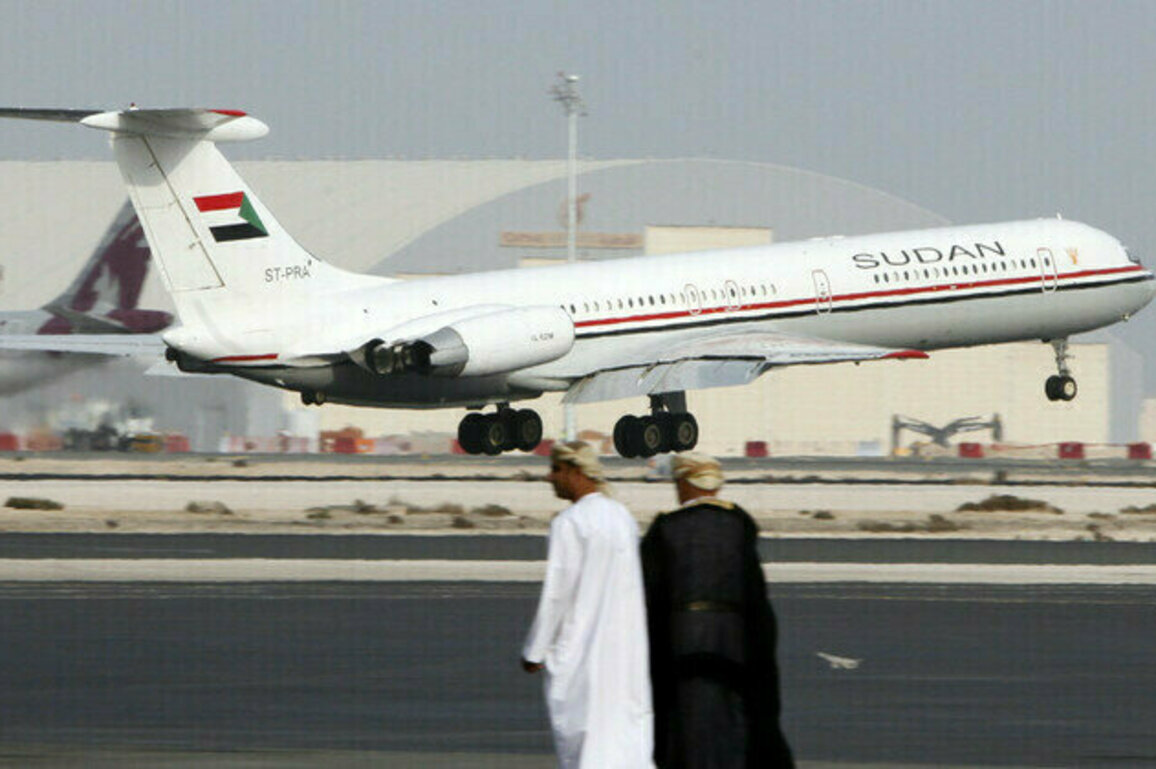 UAE bars African states planes  media