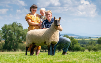 Cumbrian farming couple make their mark with Clun Forest breed