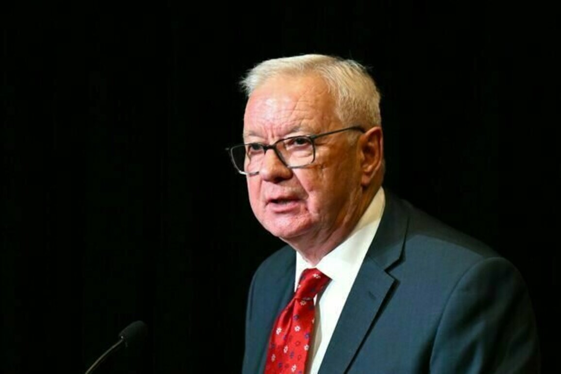 Doug Cameron says Labor's left 'defanged' and co-opted into supporting US aggression