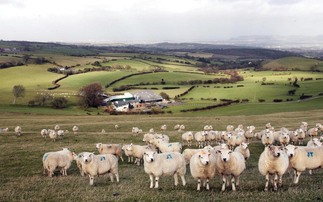 Welsh farming union asks Governments to commit to BPS budget for 2024