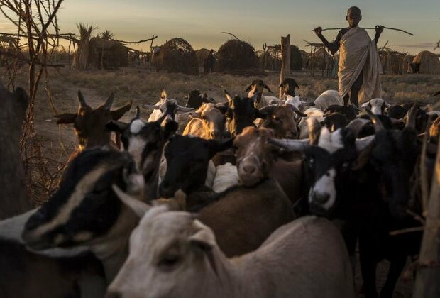 Farmer-Herder Conflicts on the Rise in Africa