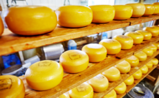 Deal in Focus: I&F scores 3.5-4x on La Comtoise SBO