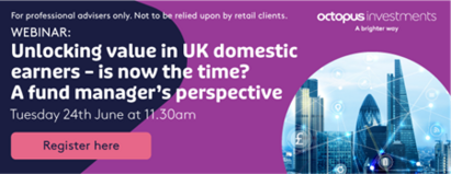 Unlocking value in UK domestic earners: Is now the time? 