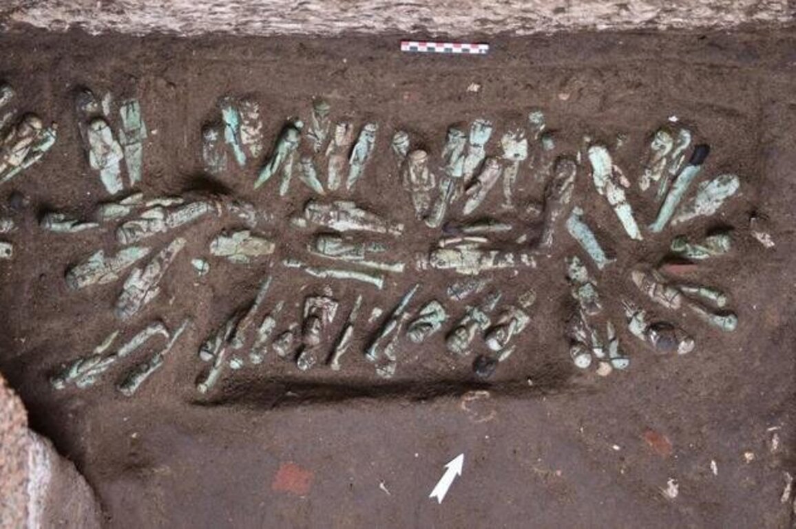 Egyptologists find 225 'exceptional' figurines in pharaoh's tomb