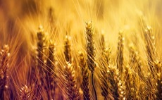 PE investors commit $500m to India agribusiness giant UPL