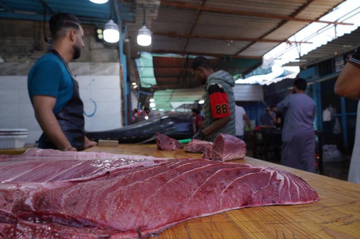 Libya's peak tuna season revitalizes markets, sustains fisheries sector