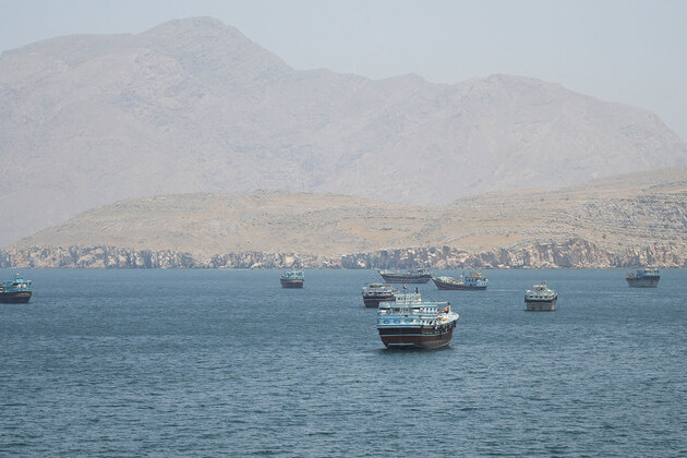 No ships have passed through Strait of Hormuz in past 24h: Report