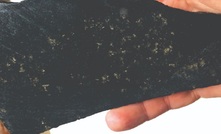  A Gargoyle grab sample containing 0.49% nickel plus copper, chromium and cobalt values